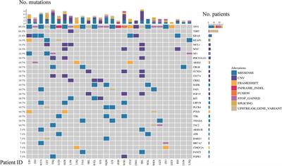 Genetic testing and prognosis of sarcomatoid hepatocellular carcinoma patients